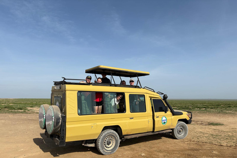 Arusha: 2-Day Tarangire and Ngorongoro Safari Tour