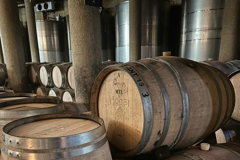 Viña Haras de Pirque Wine Experience