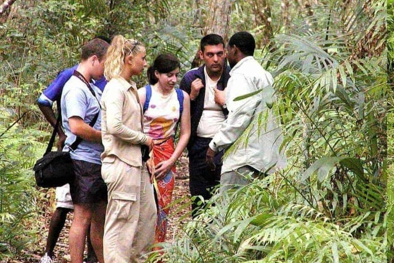 Zanzibar: tour della Jambo Spice Farm con frutta e pranzoTrasferimento dall'hotel ovunque – Fattoria delle spezie di Zanzibar e frutta gratis