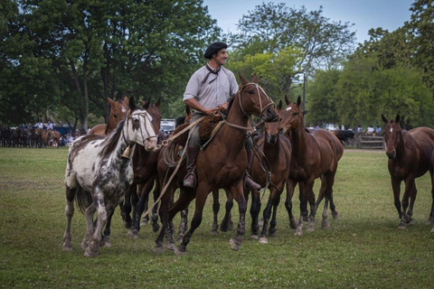 Buenos Aires: A Private Day at an Authentic Argentinian Farm