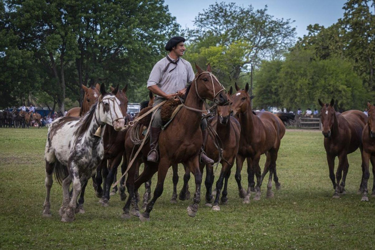 Buenos Aires: Prywatny dzień na autentycznej argentyńskiej farmie