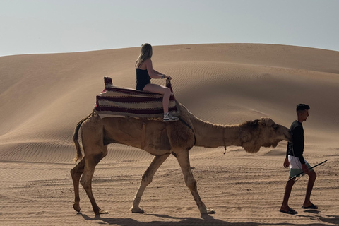 Agadir: Quad Bike and Camel Ride Desert & Beach Tour