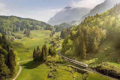 Zurich: Hardcore Swiss Train Tour–4 Scenic Railways in 1 day Excluding Train Tickets