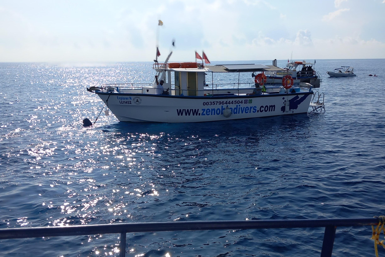 Larnaca: Zenobia Shipwreck Dive with Equipment