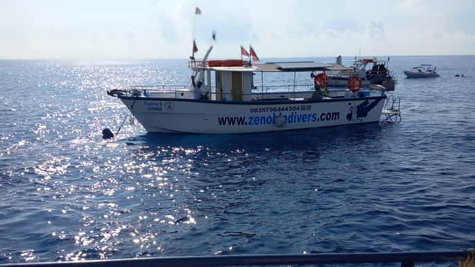 Larnaca: Zenobia Shipwreck Dive with Equipment