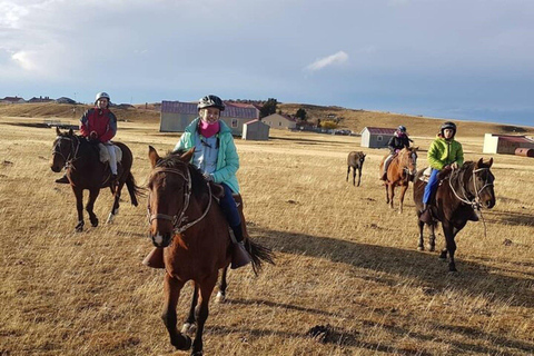 Laguna Blanca: Estancia Tour with Lamb Lunch