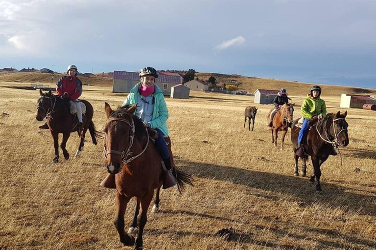 Laguna Blanca: Estancia Tour with Lamb Lunch