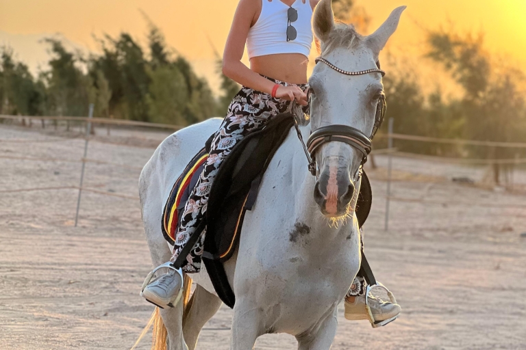 horse ride with sunset and stargazing! horse ride with sunset