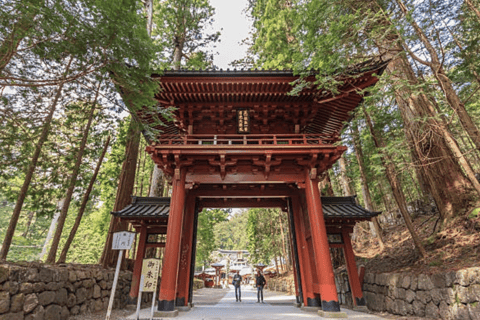Nikko Private Custom Tour with Local Guide