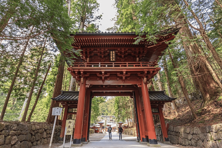 Nikko Private Custom Tour with Local Guide