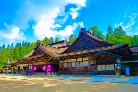 Wakayama: Mt. Koya, Kumano Kodo & Nachi Falls Private Tour