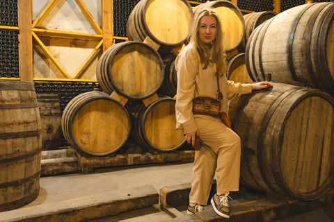 从埃里温出发：霍尔维拉普、诺拉万克、杰尔穆克和鸟洞霍尔维拉普、诺拉旺克、杰尔穆克私人观光（不含导游）