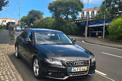 Madeira: Comfortable private tour with views and local guide (up to 4 people)