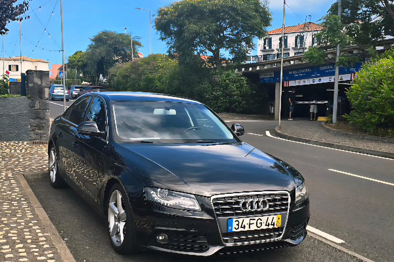 Madeira: Comfortable private tour with views and local guide (up to 4 people)