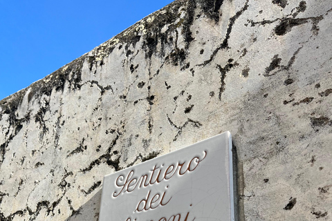 From Positano: Lemon Tour with Tasting Session and Transfer