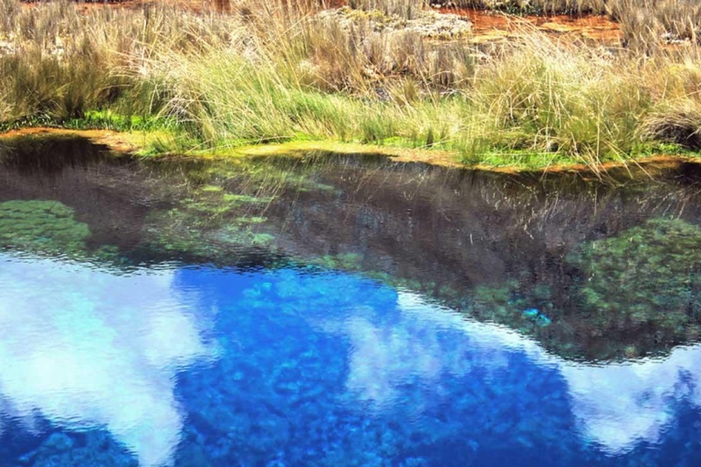 Vanuit Huaraz| verken bergen en lagunes een prachtige 3D/2N