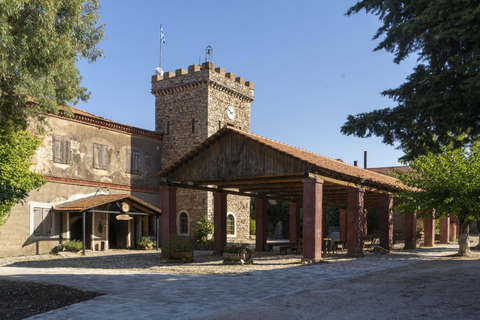 Patras: City Tour with Optional Visits and Wine Tasting