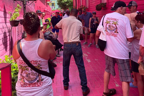 De essentie van Puerto Plata: historische en culturele stadstourPuerto Plata 360: Bezoek het barnsteenmuseum, het centrum van de stad.