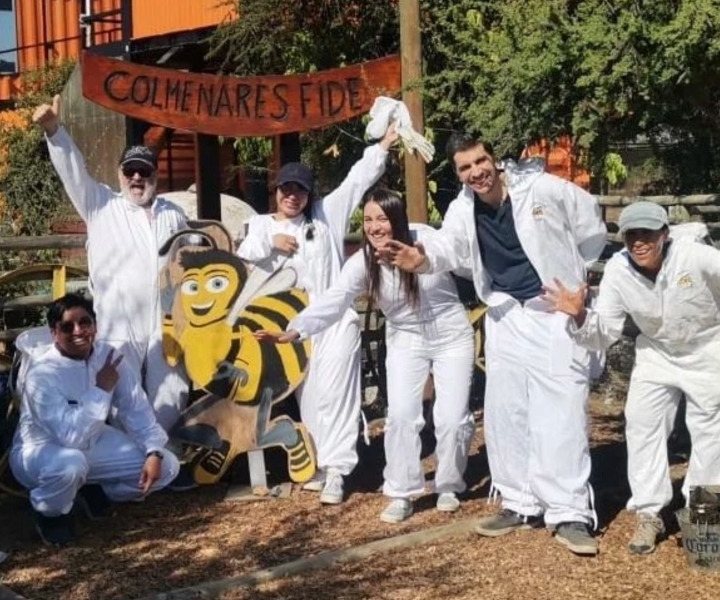 Santiago: Apiculture and Vineyard Experience