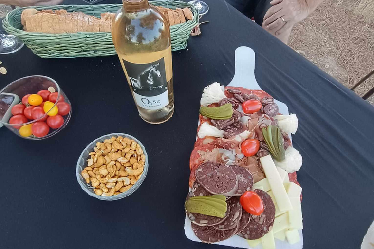 Mas Farchat: Wine tasting and tapas in the heart of nature Mas Farchat: Wine tasting with the winemakers