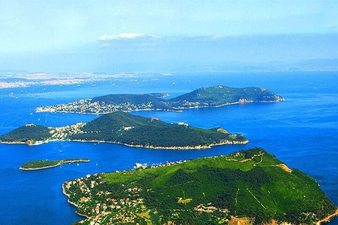 Au départ d&#039;Istanbul : Visite des îles Princes avec déjeuner