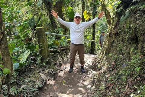 Total Adventure in Mindo - Full day