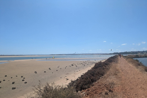 Guided buggy Passenger tour Alvor Ria wetlands