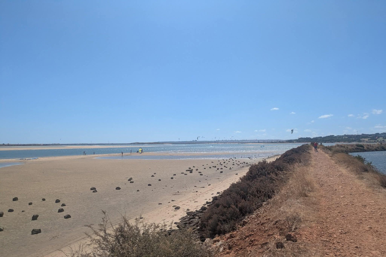Guided buggy Passenger tour Alvor Ria wetlands