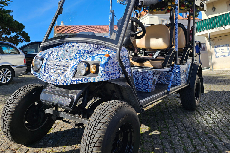 Lisbonne : Visite de la vieille ville en tuktuk alfama et Histoire.