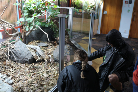 Zoológico de Wellington - Animales de Aotearoa - Visita en grupoZoológico de Wellington - Tour en grupo «Animales de Aotearoa»