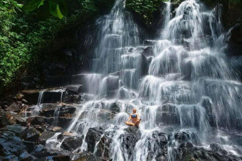 Ubud: Foresta delle scimmie, cascata di Tegenungan e terrazze di riso