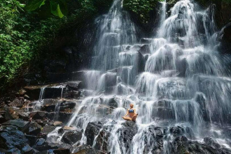 Ubud: Foresta delle scimmie, cascata di Tegenungan e terrazze di riso