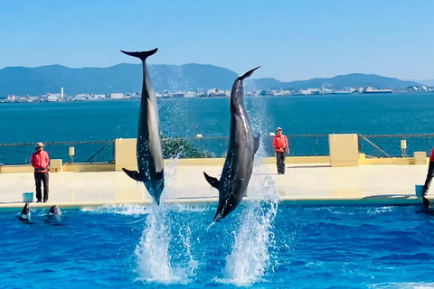 Fukuoka: Marine World Ticket & Digital Itinerary Plan