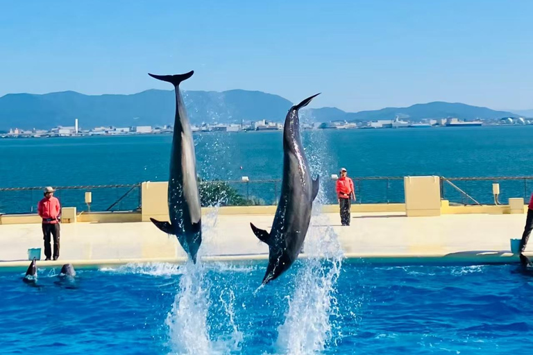 Fukuoka: Marine World Ticket & Digital Itinerary Plan