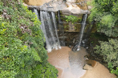 Diani: Guided day trip to Shimba Hills Reserve with lunch