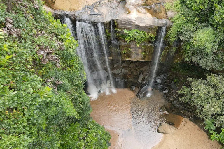 Diani: Guided day trip to Shimba Hills Reserve with lunch