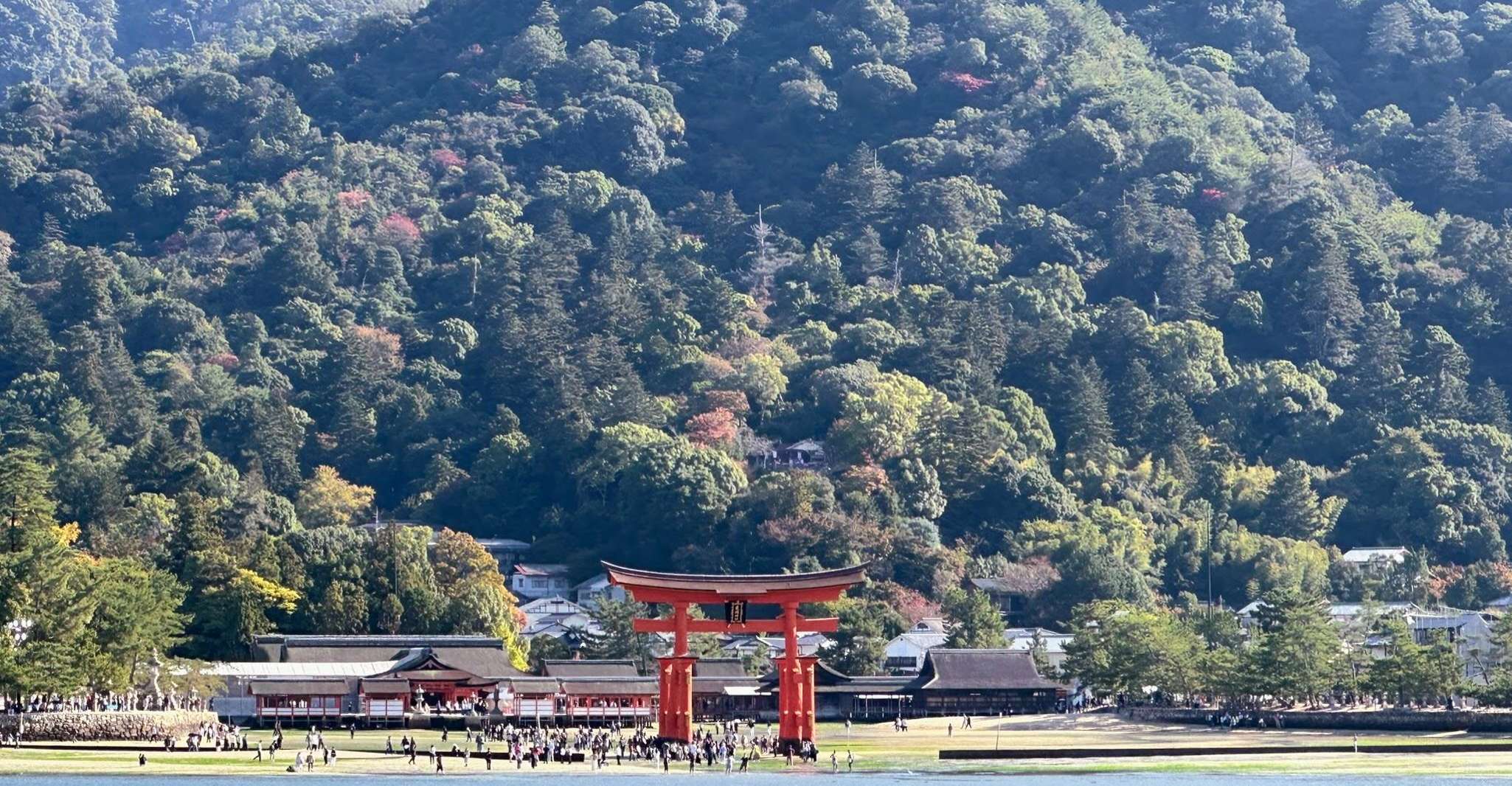 Hiroshima: Hiroshima and Miyajima UNESCO Sites 1-Day Tour photo 19