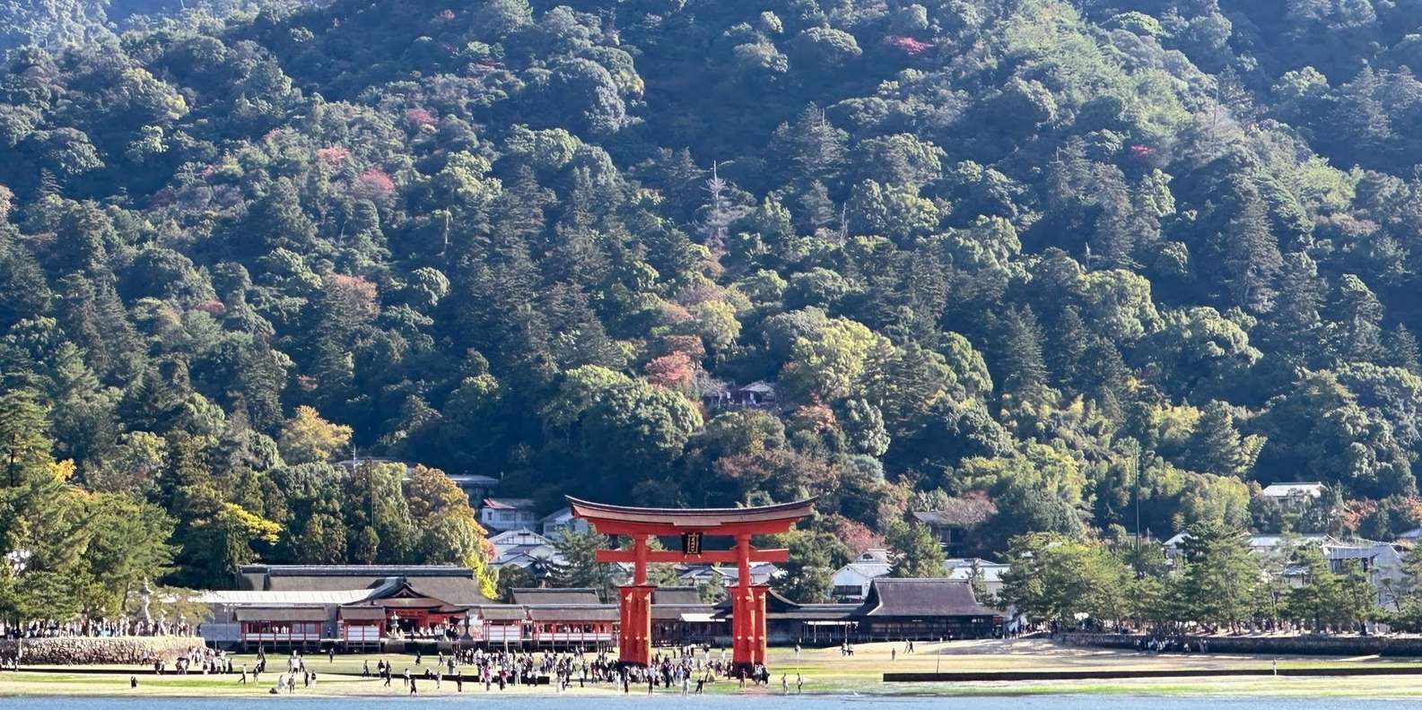 Hiroshima Miyajima tour — Peace Memorial and Miyajima Island — image 18