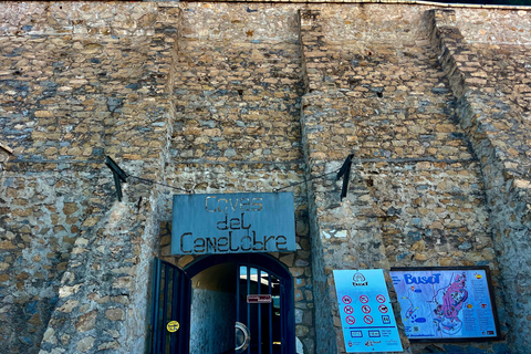 Alicante: Canelobre Caves and Busot - Car Transfer