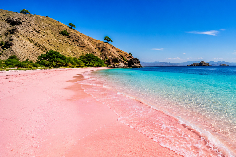 Full Day Trip Highlight of Komodo Archipelago