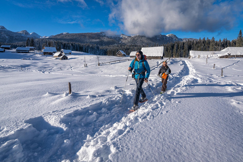 From Ljubljana/Bled: Beginner Snowshoe in Julian Alps From Bled - pickup at your accommodation