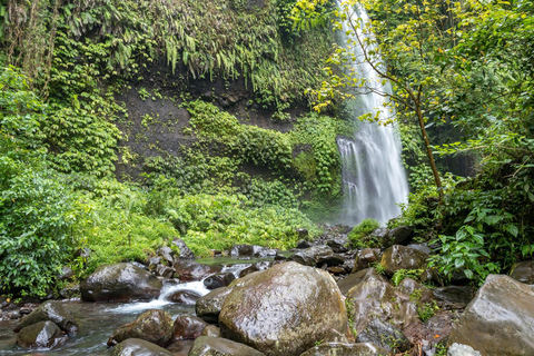 Lombok: Pueblo de Senaru, Cascadas de Sendang Gile y Tiu Kelep