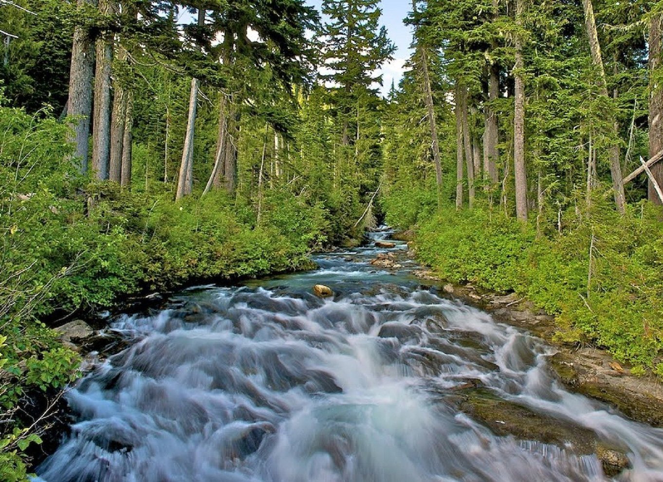 Seattle: Mount Rainier Park All-Inclusive tur med en lille gruppe