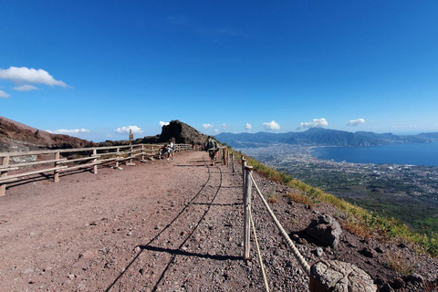 Sorrento: Pompeii & Mount Vesuvius Tour with Transfers