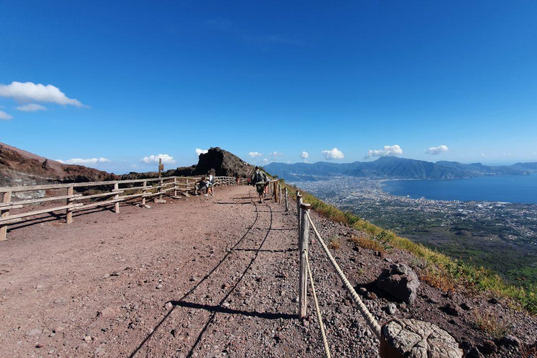 Sorrento: Pompeii & Mount Vesuvius Tour with Transfers