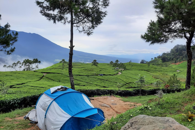 Jakarta : Waterfall, Camping Ground, Volcano 3 Day 2 Night