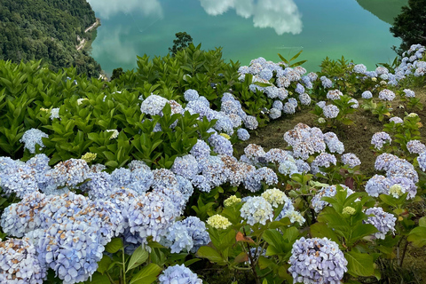 Découvrez et randonnez à São Miguel avec Rúben