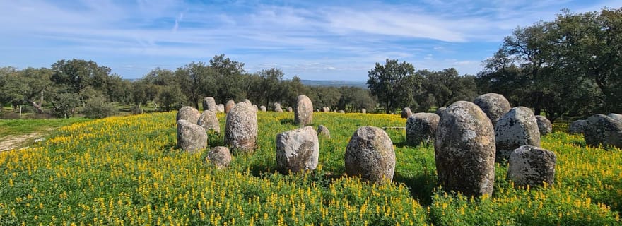 Depuis Montemor ou Évora : Randonnée guidée au mégalithique d'Almendres