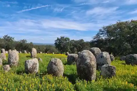 Da Montemor o Évora: Escursione guidata al megalitico di Almendres