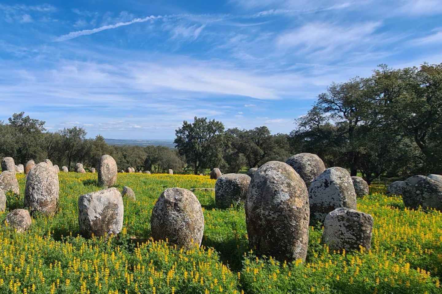 From Evora: Prehistoric Monuments and City Tour